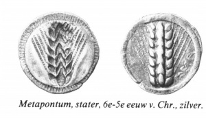 Griekse muntslag metapontum.jpg